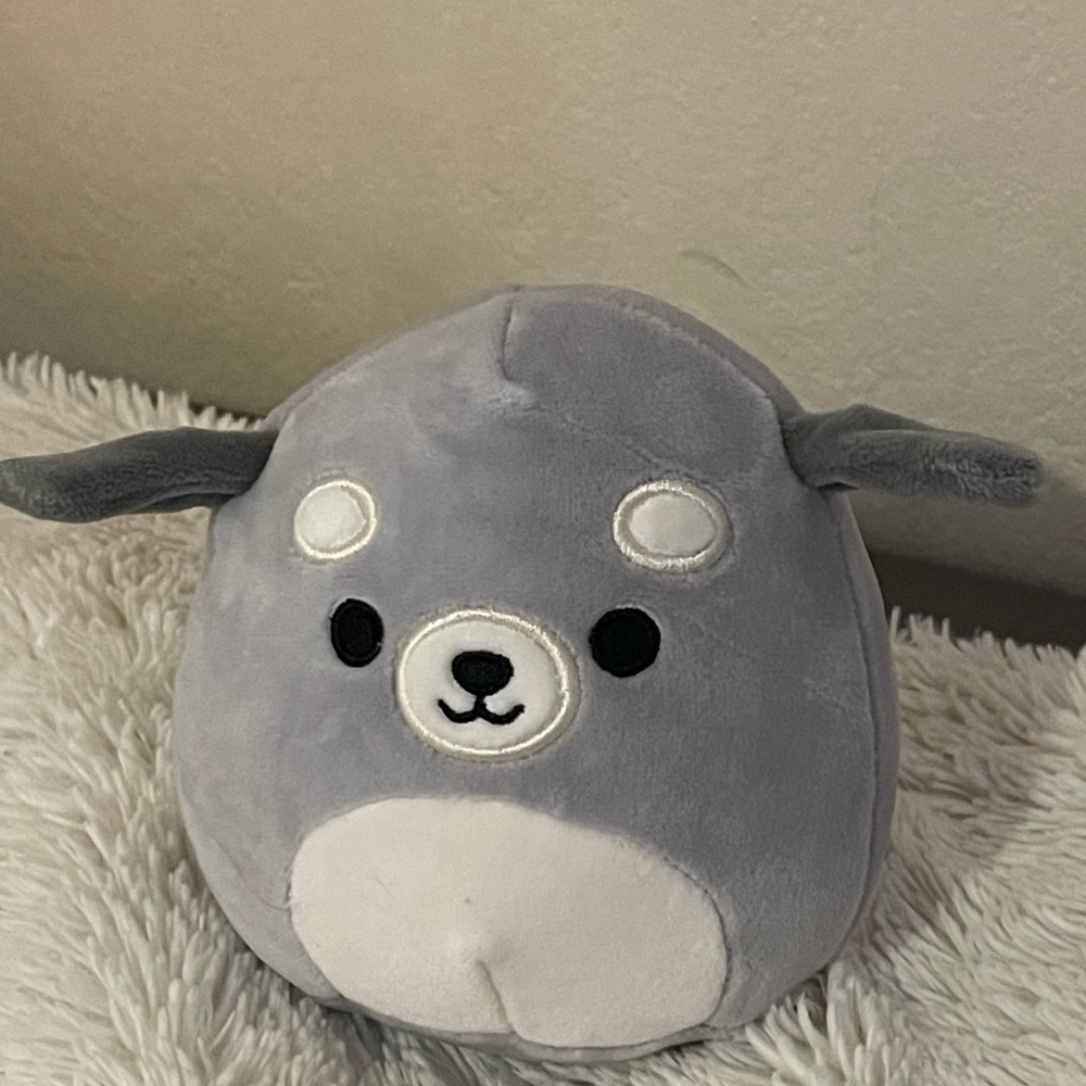 Two Dog Squishmallows Brian and Ivy